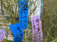 20240707Message in Tanabata Fes