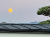 20240918Full moon day