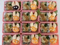 20250426Different colour