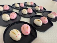 482064526 1168280751968612 4399278738055777101 n