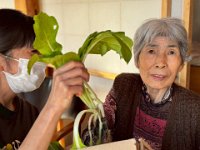 20251118Fresh vegetable