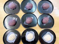 552816073 1347693837360635 7473112931020938456 n