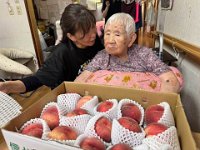 20260802Peach fruit