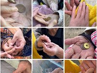 20260103Pray for shrine