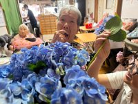 20260717Ajisai flower