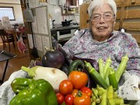 20260723Fresh vegetable