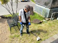 20260724Remove grass