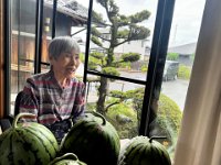 20260608Water melon