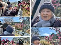 20260310Plum Blossome