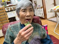 20260331Kashiwamochi sweet