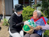 20260508Tea leaf picking