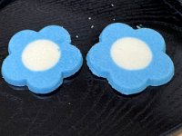 20260531Nemophila sweet