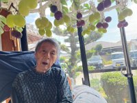 20260925Grape