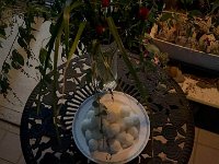 20260927Japanese pampas grass